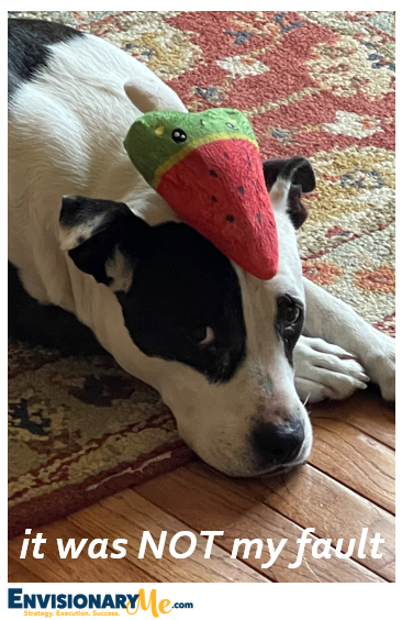 Image of a cute dog with a strawberry toy on his head. Text over image: it was NOT my fault.