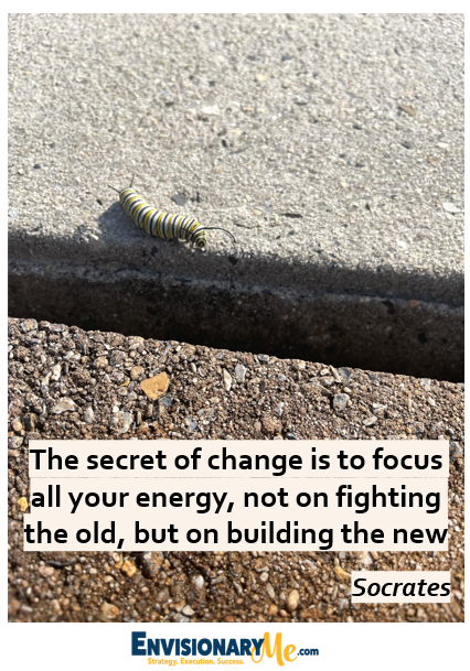 Image of an insect on the ground with a quote "The secret of change is to focus all of your energy, not on fighting the old, but on building the new by Socrates 