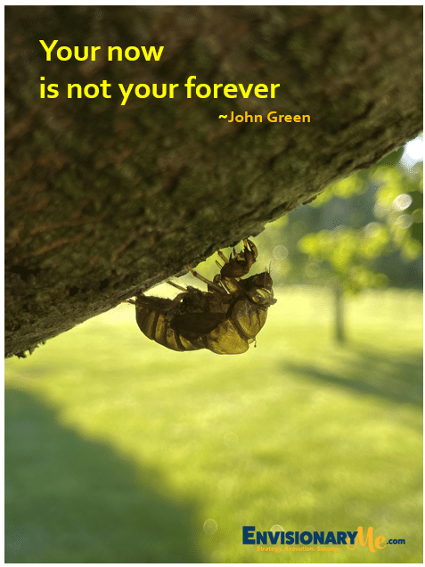 image of insect on tree with quote “Your now is not your forever”

~John Green