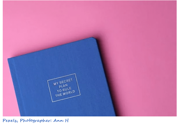 Image of pink background with blue journal with the words "My Secret Plan To Rule The World"