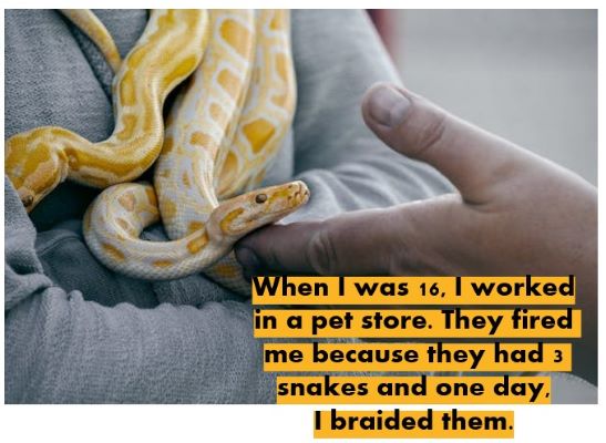 braiding snakes image with words about working in pet store and braiding snakes